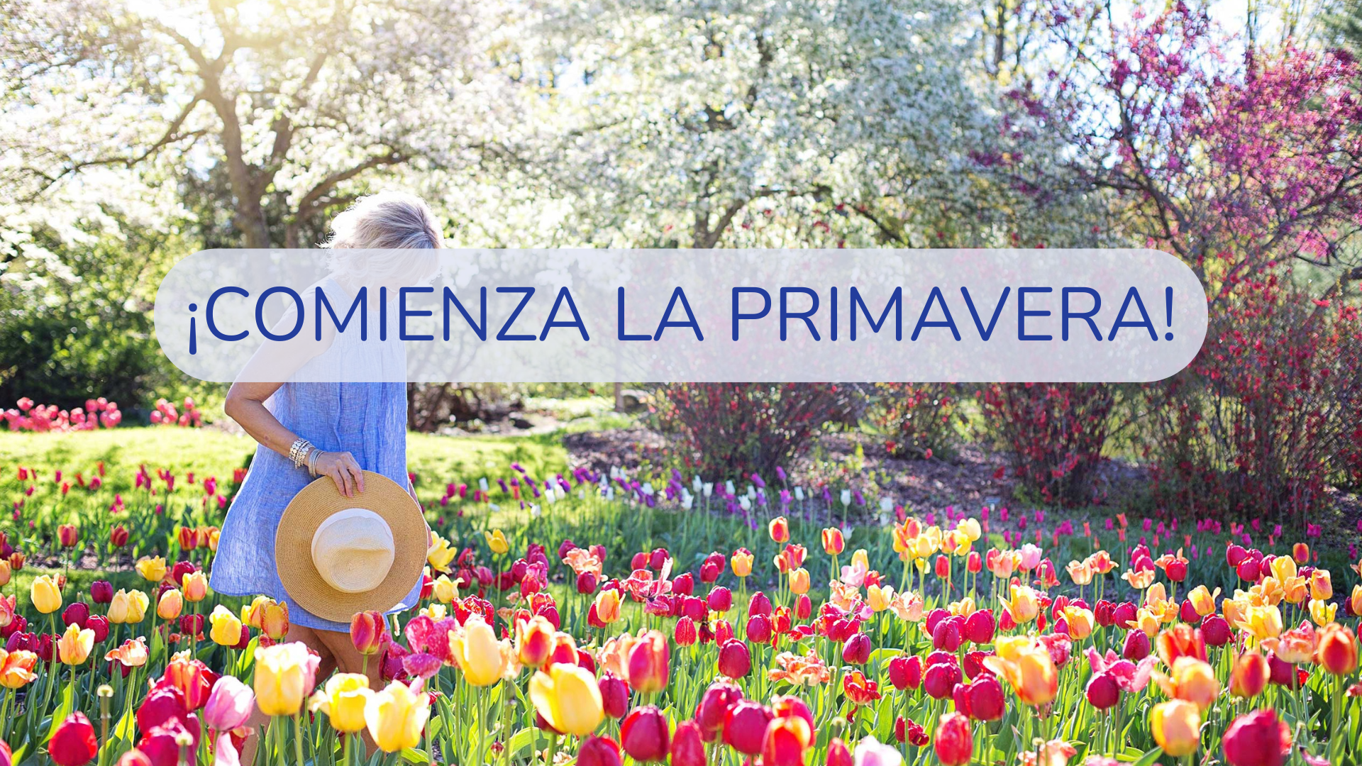¡Comienza la primavera!